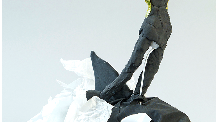 Orcinus orca！！