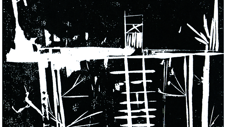 自然のひみつきち