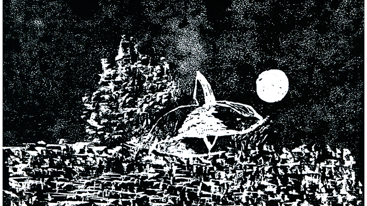 夜のクジラの大ジャンプ！