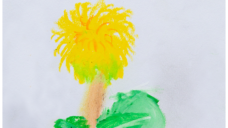 せかいにひとつのたんぽぽ