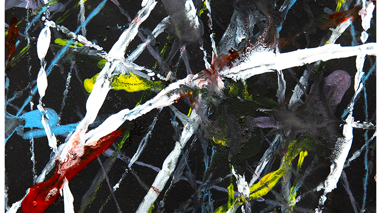 不思議な虹の道