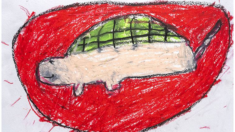 かめの おひさま