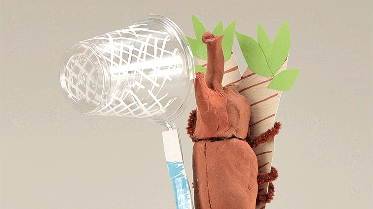 たわし虫をつかまえろ！