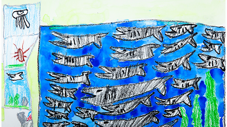 さめがたくさん水ぞくかん