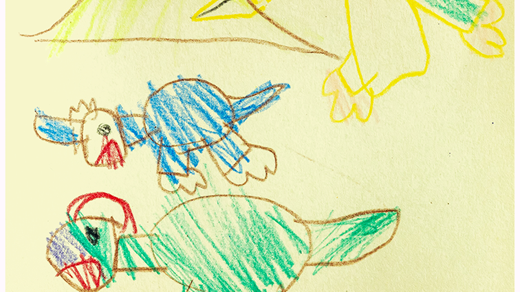 はくあき こうき