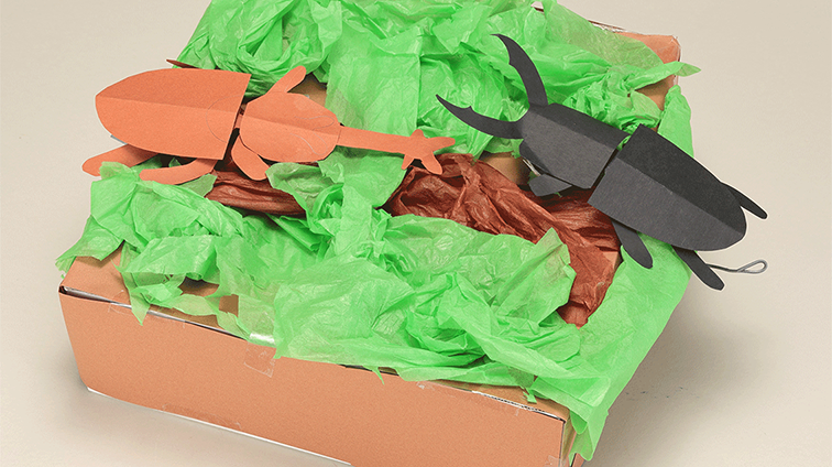 クワガタとカブト虫の戦い