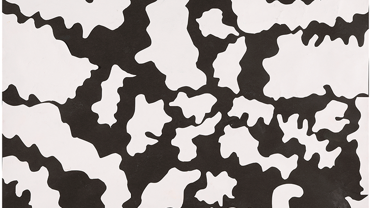 大きくて広い海